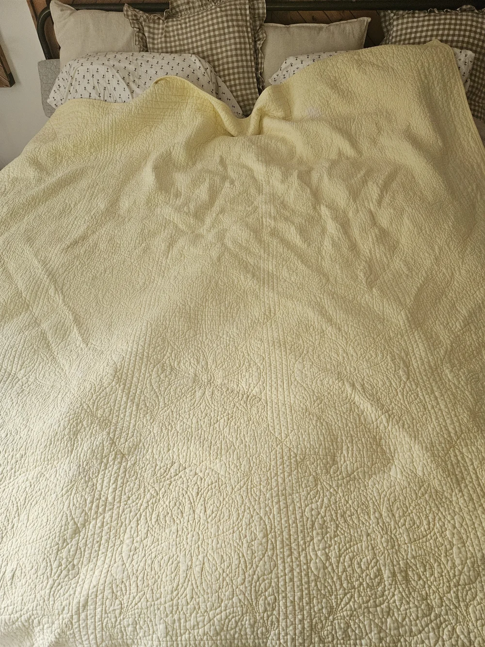 Classic pale yellow